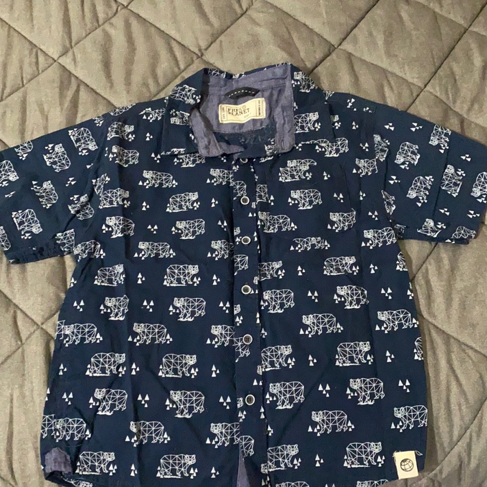 Boys bear patterned button down short sleeve